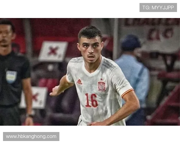 加维伤病史详解